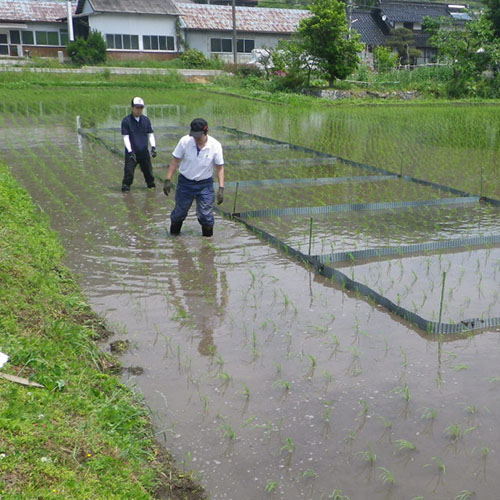 技術開発部