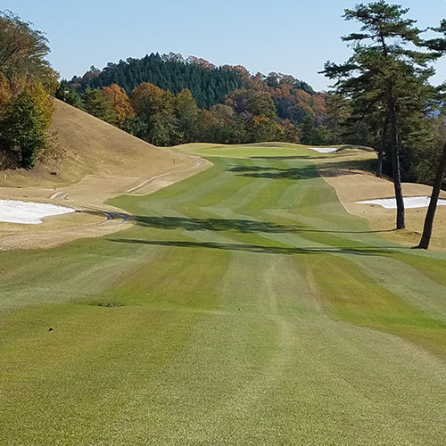 緑化分野