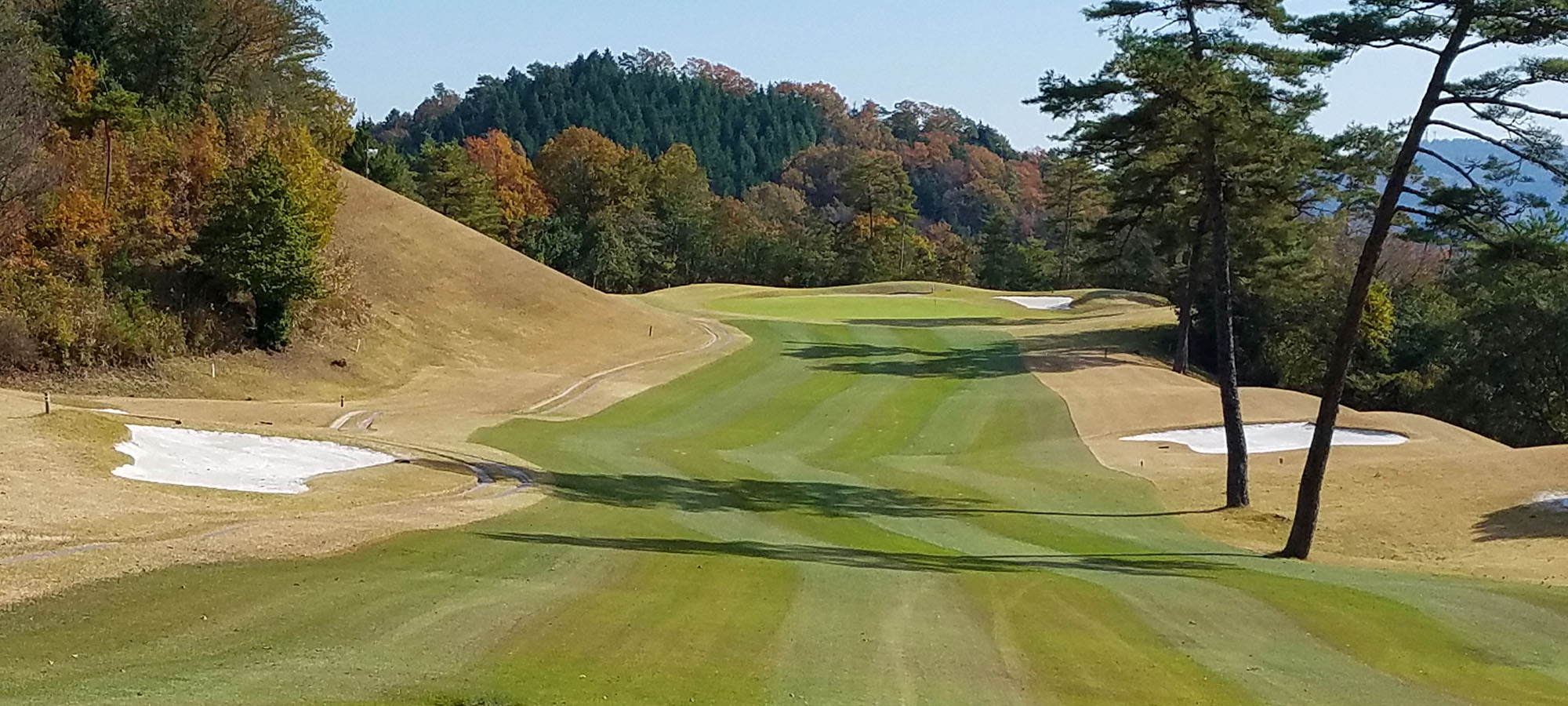 緑化分野